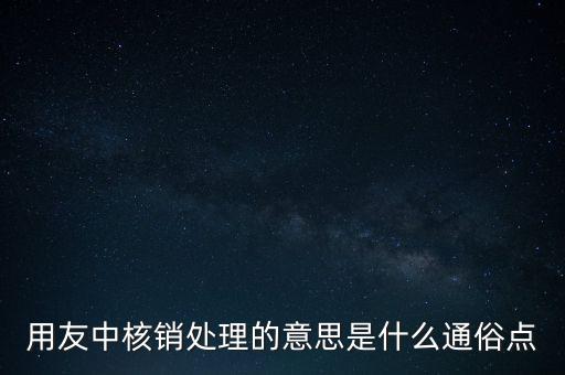 用友中核銷處理的意思是什么通俗點