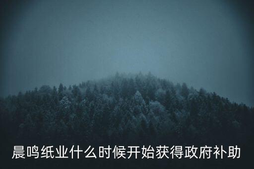 晨鳴紙業(yè)什么時候分紅，晨鳴紙業(yè)什么時候開始獲得政府補助