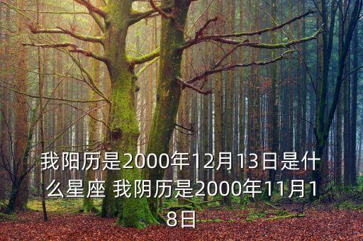 200012月13日是什么星座，我陽歷是2000年12月13日是什么星座 我陰歷是2000年11月18日