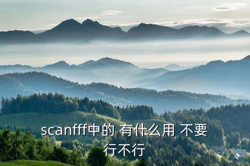 scanfff中的 有什么用 不要行不行