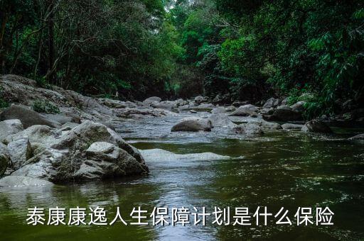 泰康康逸人生保障計(jì)劃是什么保險(xiǎn)