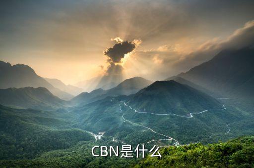 CBN是什么