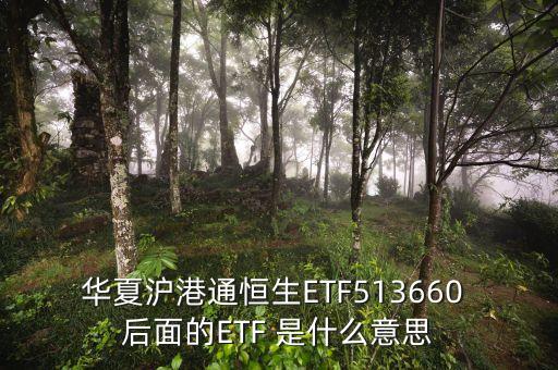 恒生etf基金是什么，華夏滬港通恒生ETF513660 后面的ETF 是什么意思