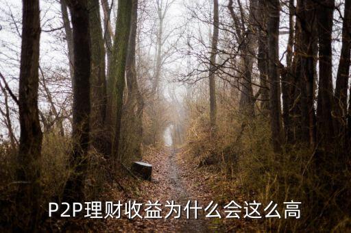 P2P理財收益為什么會這么高