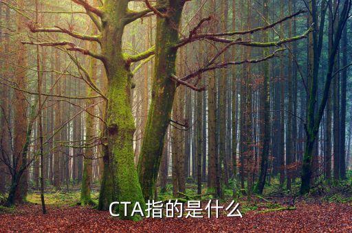 CTA是干什么的，CTA指的是什么