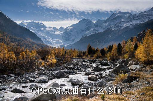 opec會議是什么意思，OPEC對原油有什么影響