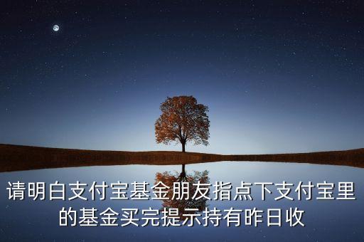 請明白支付寶基金朋友指點(diǎn)下支付寶里的基金買完提示持有昨日收