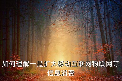 如何理解一是擴(kuò)大移動(dòng)互聯(lián)網(wǎng)物聯(lián)網(wǎng)等信息消費(fèi)