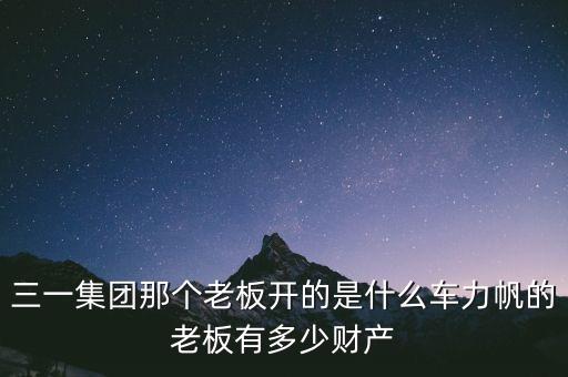 三一集團那個老板開的是什么車力帆的老板有多少財產(chǎn)