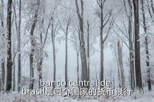 banco central de brasil是吧個國家的貨幣銀行