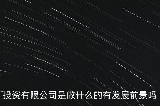 投資有限公司是做什么的有發(fā)展前景嗎