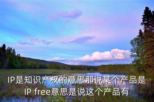 IP是知識產(chǎn)權(quán)的意思那說某個產(chǎn)品是IP free意思是說這個產(chǎn)品有