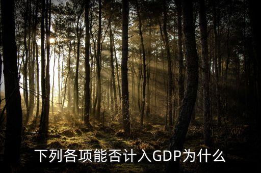 就災(zāi)款為什么不能計入GDP，下列各項能否計入GDP為什么