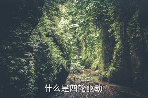 什么是四輪驅(qū)動(dòng)