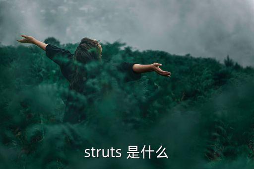 什么是中植系，struts 是什么