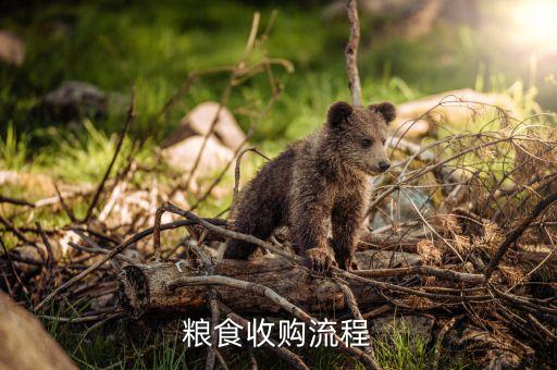 中糧集團(tuán)收購(gòu)小麥流程是什么，那位能告訴我怎么收糧食流程