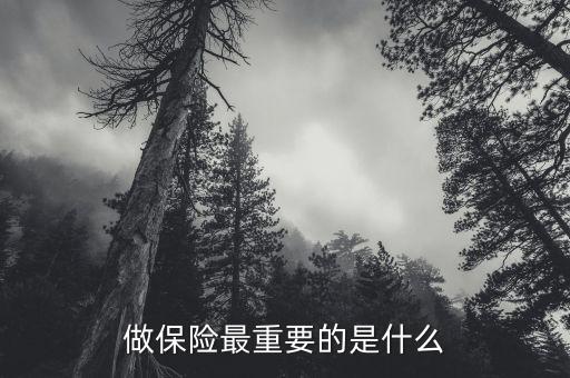 做保險(xiǎn)最重要的是什么