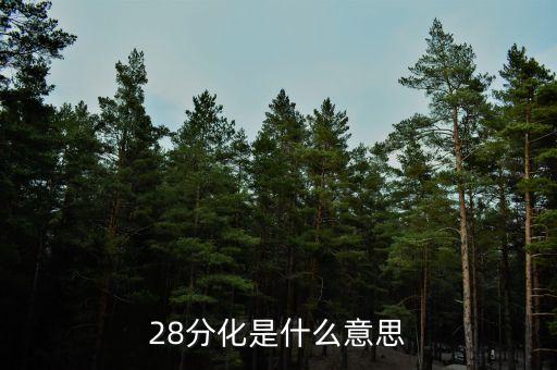 28分化是什么意思