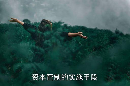 資本管制的實施手段