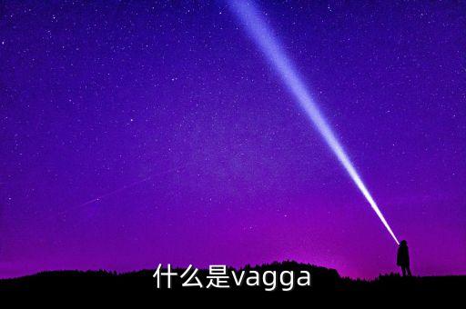 什么是vagga