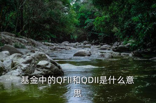 基金中的QFII和QDII是什么意思