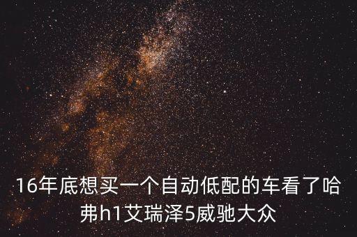 16年底想買一個自動低配的車看了哈弗h1艾瑞澤5威馳大眾