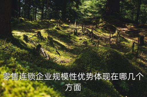 零售連鎖企業(yè)規(guī)模性優(yōu)勢體現(xiàn)在哪幾個方面