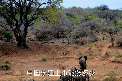 中國(guó)核建上市能漲多少