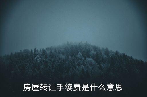 轉(zhuǎn)讓手續(xù)費(fèi)是什么，什么是轉(zhuǎn)讓費(fèi)