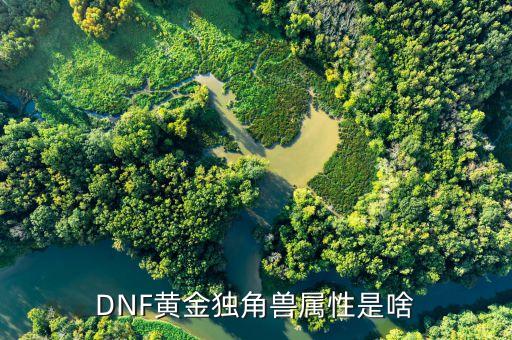 DNF黃金獨(dú)角獸屬性是啥