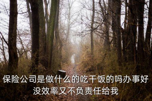 保險公司是做什么的吃干飯的嗎辦事好沒效率又不負責(zé)任給我