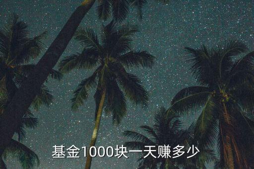 基金1000塊一天賺多少