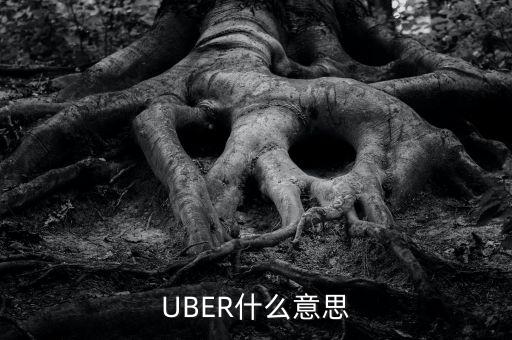 UBER什么意思