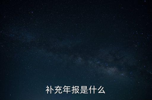 補充年報是什么