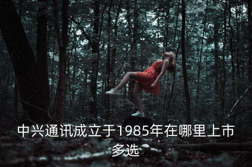 中興通訊成立于1985年在哪里上市多選