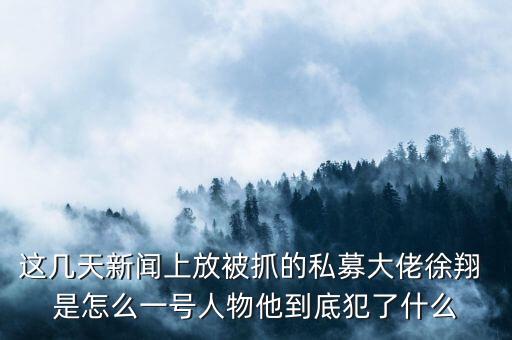 這幾天新聞上放被抓的私募大佬徐翔 是怎么一號人物他到底犯了什么