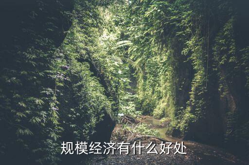 規(guī)模經(jīng)濟有什么好處