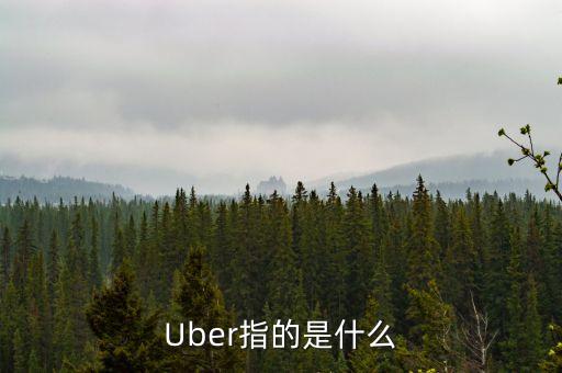 Uber指的是什么