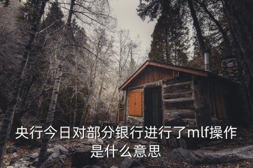 6個月mlf是什么，當(dāng)日對22家金融機(jī)構(gòu)開展mlf操作指的是哪些銀行