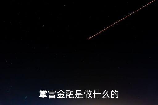 掌富金融是做什么的