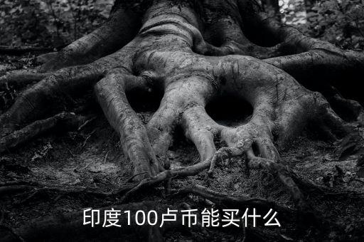 在印度100盧比能買什么，2017年帶100人民幣去印度可以買什么東西