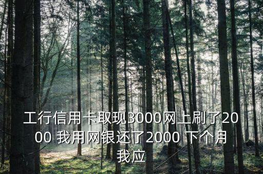 工行信用卡取現(xiàn)3000網(wǎng)上刷了2000 我用網(wǎng)銀還了2000 下個(gè)月我應(yīng)