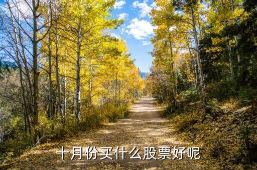 10月19日買(mǎi)什么股，2015年10月19日股民李先生以每股1825元的價(jià)格買(mǎi)進(jìn)某股票100股