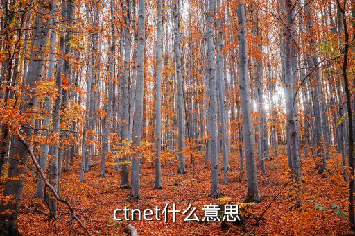 ctnet什么意思