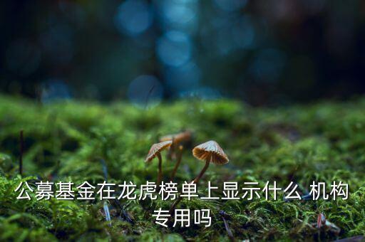 龍虎榜機構(gòu)專用是什么意思，公募基金在龍虎榜單上顯示什么 機構(gòu)專用嗎