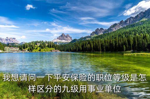 人保林智勇行政級(jí)別是什么，中華聯(lián)合保險(xiǎn)董事長(zhǎng)級(jí)別