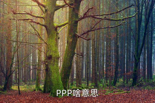 PPP啥意思