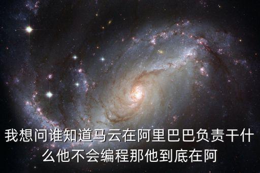 我想問誰知道馬云在阿里巴巴負(fù)責(zé)干什么他不會(huì)編程那他到底在阿