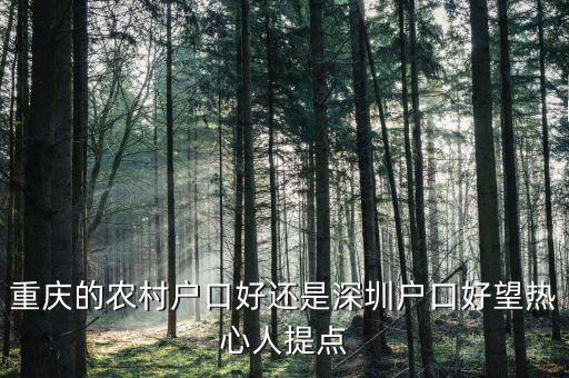 重慶的農(nóng)村戶口好還是深圳戶口好望熱心人提點