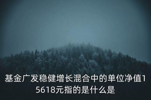 001481是什么基金，基金1打頭的是什么類型的基金